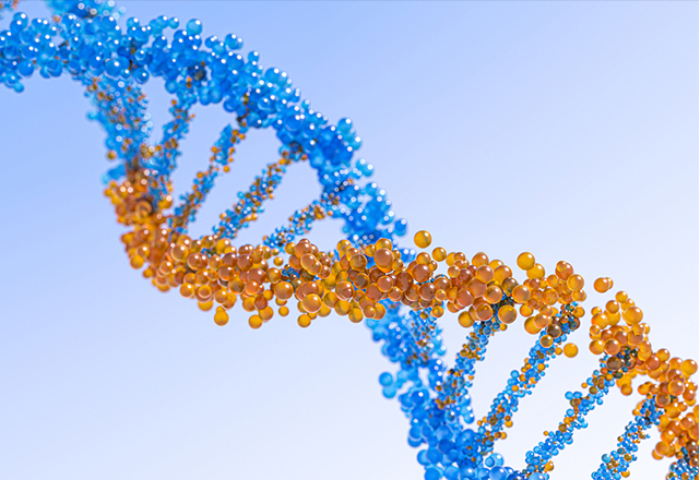 Whole Genome Re-sequencing