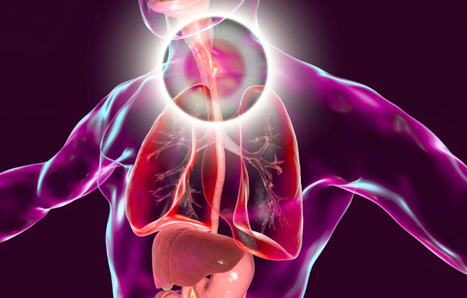 The Disease Susceptibility Genetic Test-Esophageal Cancer