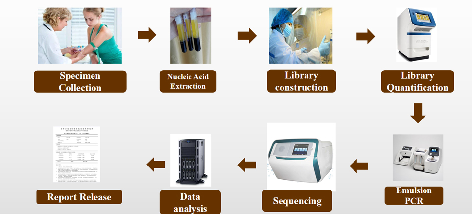 Workflow of Fetal Aneuploidies (Trisomy 21, Trisomy 18 and Trisomy 13) Detection