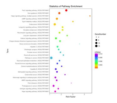 geneset-enrichment-analysis.jpg