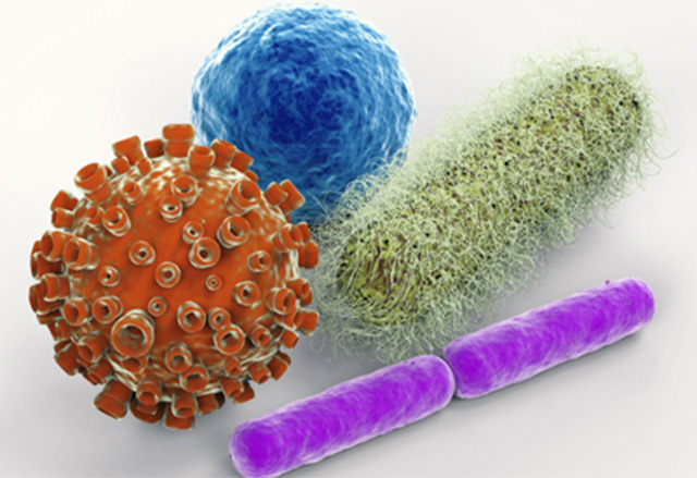 metagenomics shotgun sequencing