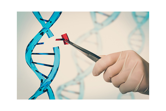 GJB2 Gene Coding Region and Splicing Site Detection