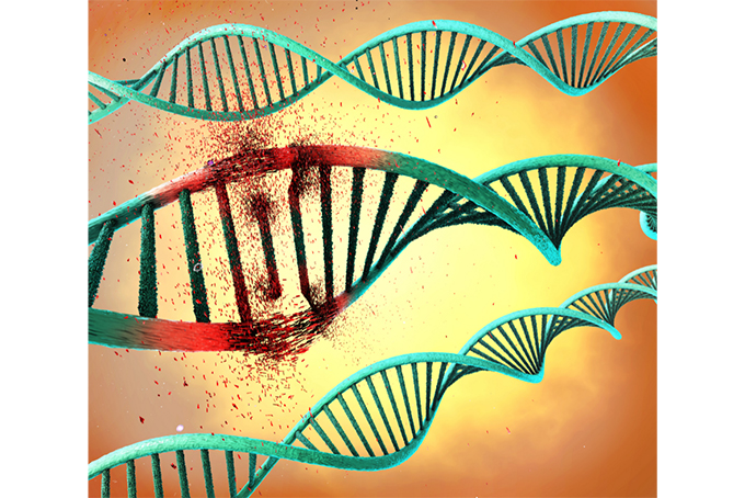 whole exome sequencing genetic test