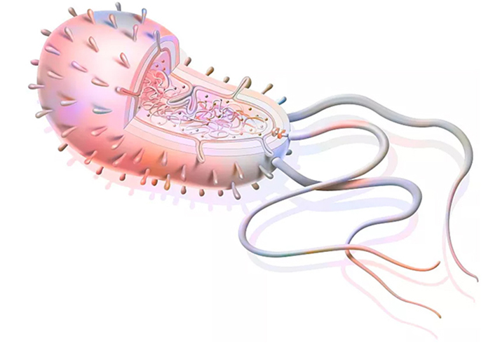 single cell crispr screening