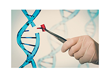 GJB2 Gene Coding Region and Splicing Site Detection