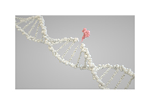 Tandem Mass Spectrometry Screening for Genetic Metabolic Diseases