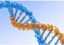 Whole Genome Re-sequencing