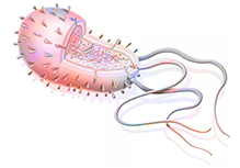 Single-Cell CRISPR Screening