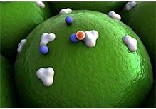 Single-cell Gene Expression With Cell Surface Protein