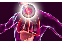 The Disease Susceptibility Genetic Test-Esophageal Cancer