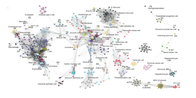 Cell-Association-Analysis.jpg