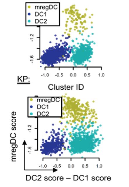 DC_cell_grouping.jpg