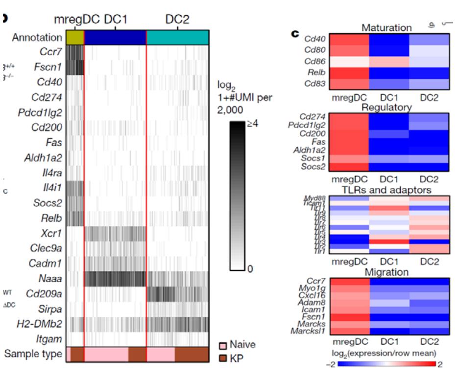 Subgroup_characteristic_gene_expression.jpg