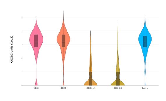 Target_gene_expression_violin_plot.jpg