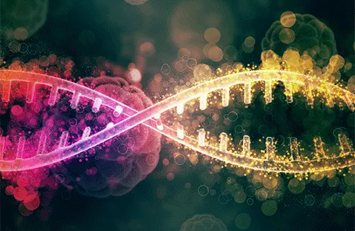 Illumina 850K Methylation Microarray DNA Methylation Sequencing